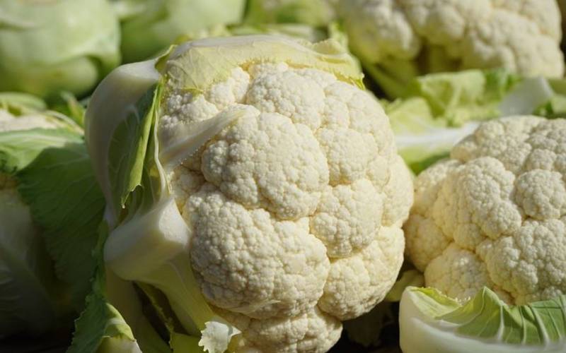 Vente de choux fleur à Bordeaux